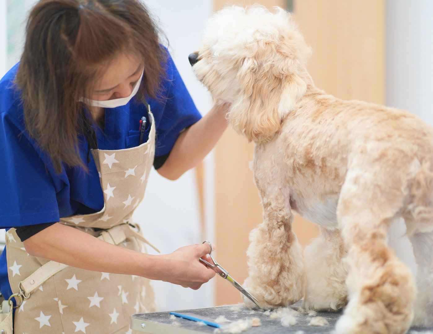 院内で犬のケアをするスタッフ